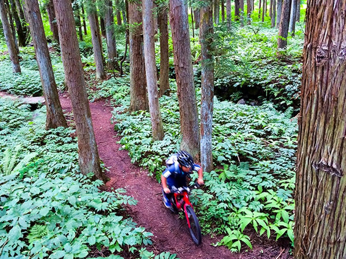 Cottage Yamajyu Hakuba Bagian luar foto